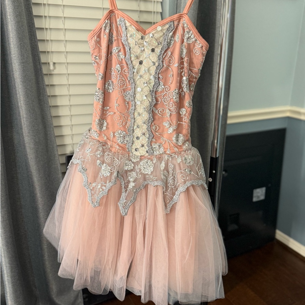 PINK AND SLIVER BALLET TUTU (NO HEADPIECE)